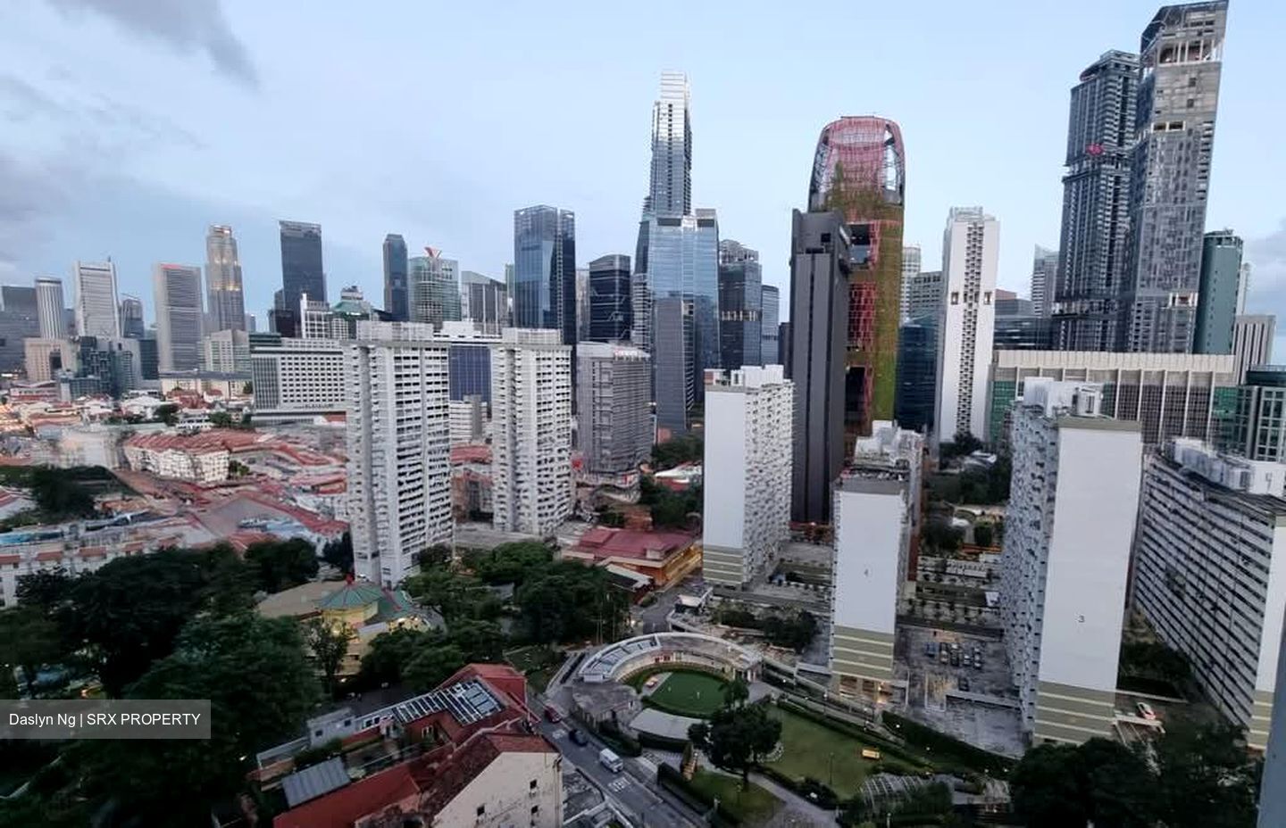 Blk 1F The Pinnacle@Duxton (Bukit Merah), HDB 4 Rooms #549947441
